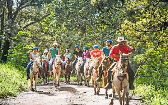 Horseback Riding