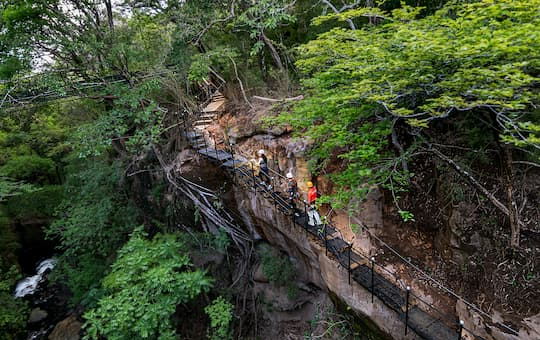 River Canyon Zip Line